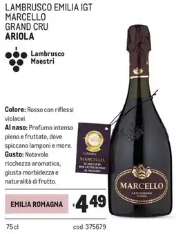 Metro Lambrusco emilia igt marcello grand cru Ariola offerta