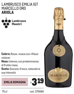 Metro Lambrusco emilia igt marcello oro Ariola offerta