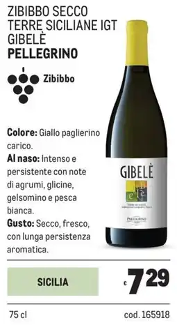 Metro Zibibbo secco terre siciliane igt gibelė Pellegrino offerta