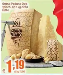 Elite Grana Padano Dop offerta