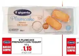 Il Gigante il gigante Plumcake offerta