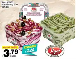 Elite Sigel gelato offerta