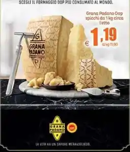 Elite Grana Padano Dop offerta