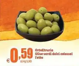 Elite OrtoEtruria Olive verdi dolci colossal offerta