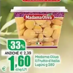 Elite Madama Oliva Lupini offerta