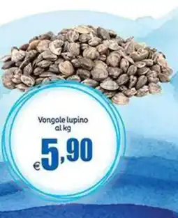 Elite Vongole lupino offerta