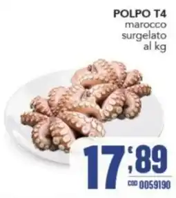 Gruppo di Palo POLPO T4 marocco offerta