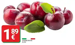 Supermercati Gulliver SUSINE ROSSE offerta