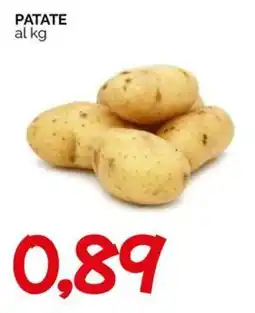 Hardis PATATE offerta