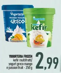 Ciro Amodio Yogurteria frozen kefir multifrutti/yogurt greco mango e passion fruit offerta