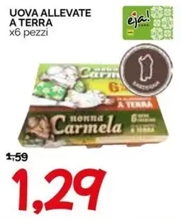 Hardis Uova allevate a terra Carmela offerta