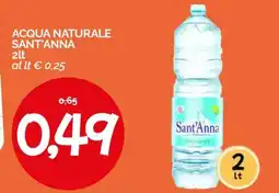 Hardis Acqua Naturale Sant'Anna offerta