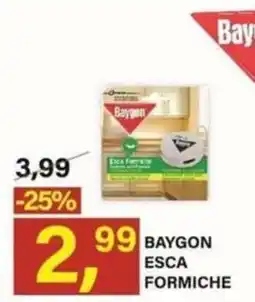 Ni Hao Market BAYGON ESCA FORMICHE offerta