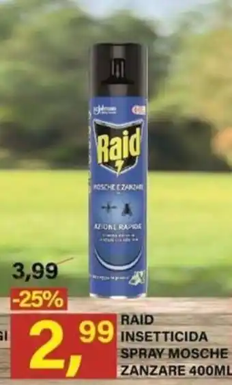RAID INSETTICIDA SPRAY MOSCHE ZANZARE