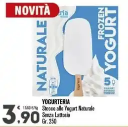 Punto é market YOGURTERIA Stecco allo Yogurt Naturale Senza Lattosio offerta