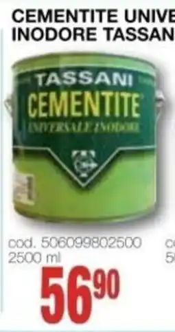 Mondo Brico Cementite universale inodore Tassani offerta
