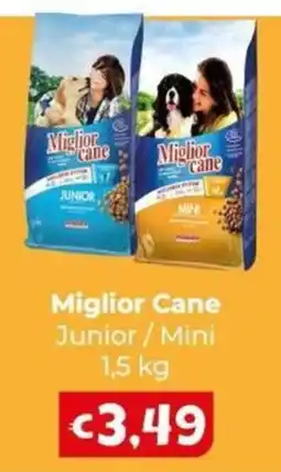 Le Bolle di Giù Giù Miglior Cane Junior / Mini offerta