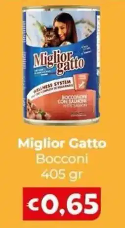 Le Bolle di Giù Giù Miglior Gatto Bocconini offerta