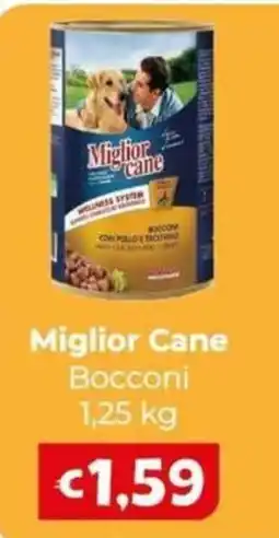 Le Bolle di Giù Giù Miglior Cane Boccon offerta