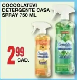 Mondo Brico Coccolatevi Detergente Casa offerta