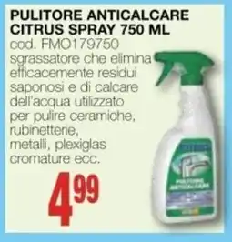 Mondo Brico PULITORE ANTICALCARE CITRUS SPRAY offerta