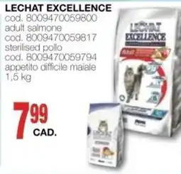 Mondo Brico Lechat excellence offerta