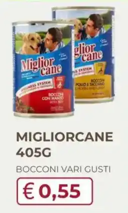 Eté Miglior cane Bocconi offerta