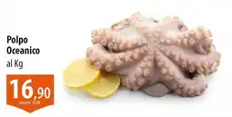 Panapesca Polpo Oceanico offerta