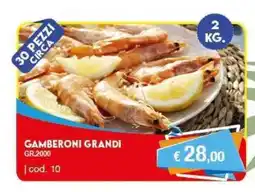 Elite Gamberoni Grandi offerta