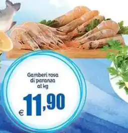 Elite Gamberi rosa di paranza offerta