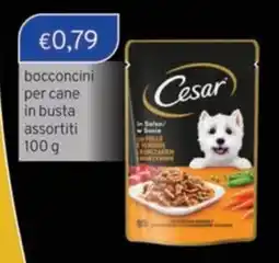 Sirene Blu Cesar bocconcini per cane offerta