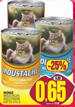 Vicino a te supermercati MONGE MOUSTACHE BOCCONCINI GATTO offerta