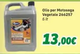 Orizzonte Olio per Motosega Vegetale offerta