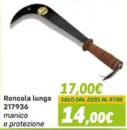 Orizzonte Roncola lunga offerta