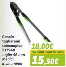 Orizzonte Cesoia tagliarami telescopica offerta