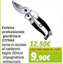 Orizzonte Forbice professionale giardiniere offerta