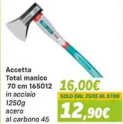 Orizzonte Accetta Total manico offerta