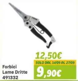 Orizzonte Forbici Lame Dritte offerta