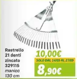 Orizzonte Rastrello 21 denti zincato offerta