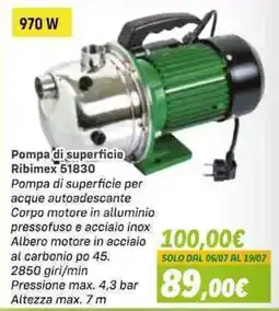 Orizzonte Pompa di superficie Ribimex 51830 offerta