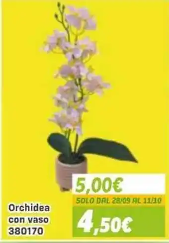 Orchidea con vaso