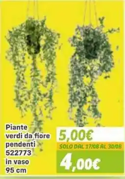 Orizzonte Piante verdi da fiore pendenti offerta