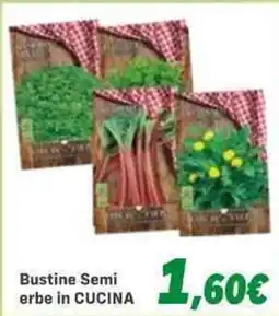Orizzonte Bustine Semi erbe in CUCINA offerta