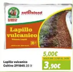 Orizzonte Lapillo vulcanico offerta