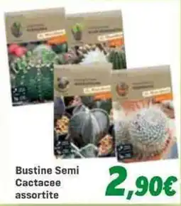 Orizzonte Bustine Semi Cactacee assortite offerta