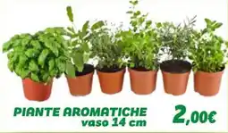 Orizzonte PIANTE AROMATICHE offerta