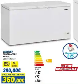 Orizzonte NIKKEI CONGELATORE offerta
