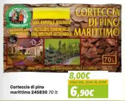 Orizzonte Corteccia di pino marittimo offerta