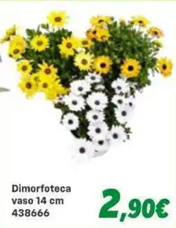 Orizzonte Dimorfoteca offerta