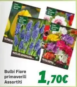 Orizzonte Bulbi Fiore primaverili Assortiti offerta